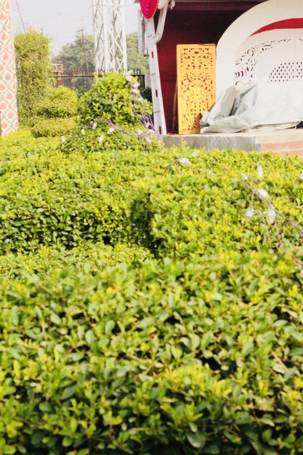 Vinayak Palace Hotel Mathura Zewnętrze zdjęcie